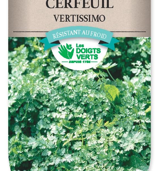 CERFEUIL Vertissimo - FRAIS DE PORT OFFERT Graines potagères