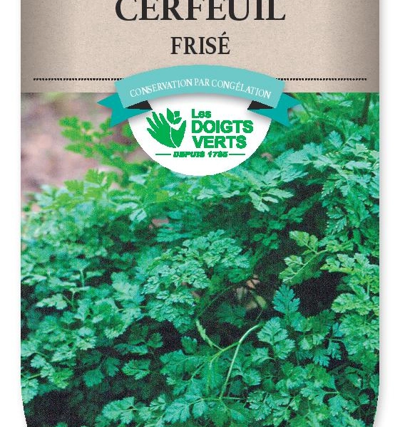 CERFEUIL Frisé - FRAIS DE PORT OFFERT Graines potagères