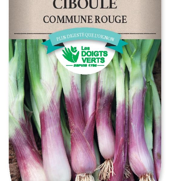 CIBOULE rouge - FRAIS DE PORT OFFERT Graines potagères