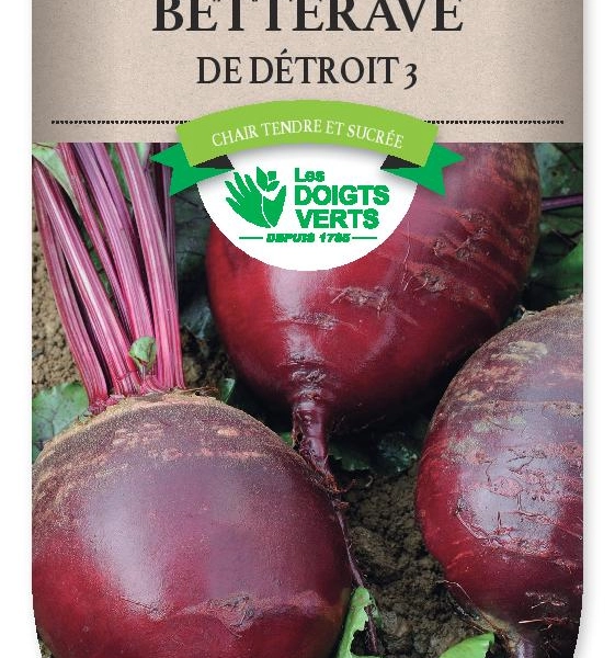 BETTERAVE de Detroit 3 - FRAIS DE PORT OFFERT Graines potagères