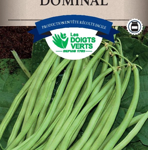 HARICOT NAIN Dominal / 200 g - Graines de Haricots / 200 grammes