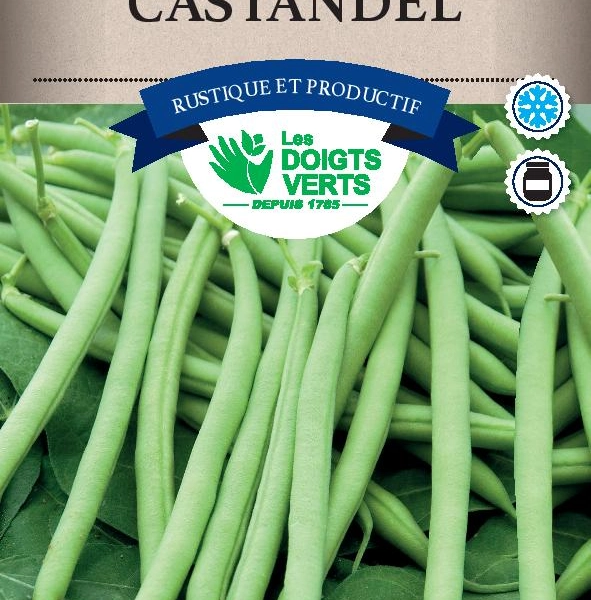 HARICOT NAIN Castandel / 200 g - Graines de Haricots / 200 grammes