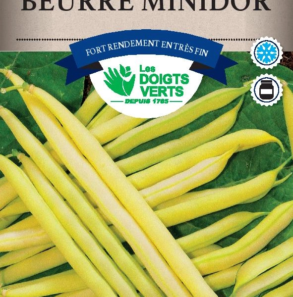 HARICOT NAIN Beurre Minidor / 250 g - Graines de Haricots / 250 grammes