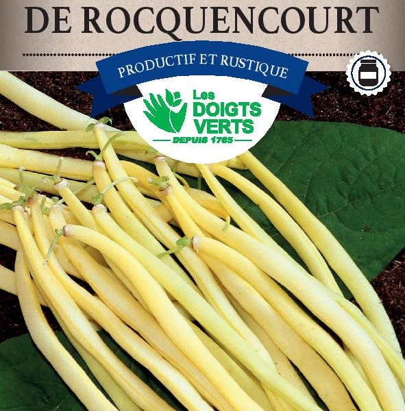 HARICOT NAIN Beurre Rocquencourt / 250 g - Graines de Haricots / 250 grammes