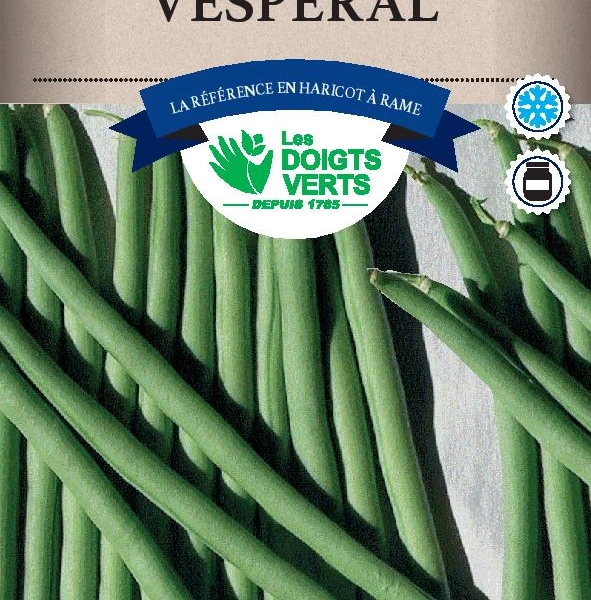HARICOT RAME Vesperal / 100 g - Graines de Haricots / 100 grammes
