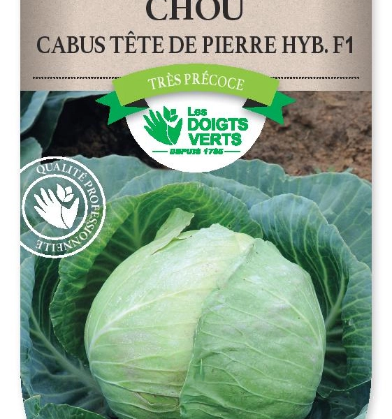 CHOU CABUS Tete de Pierre Hyb.F1 - FRAIS DE PORT OFFERT Graines potagères