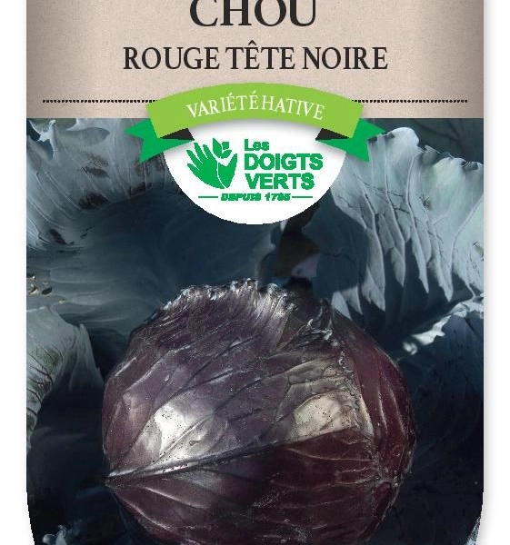 CHOU ROUGE Tete noire 3 - FRAIS DE PORT OFFERT Graines potagères