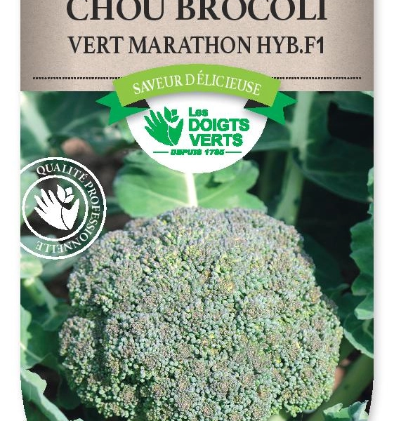 CHOU BROCOLI Vert Marathon Hyb. F1 - Graines potagères