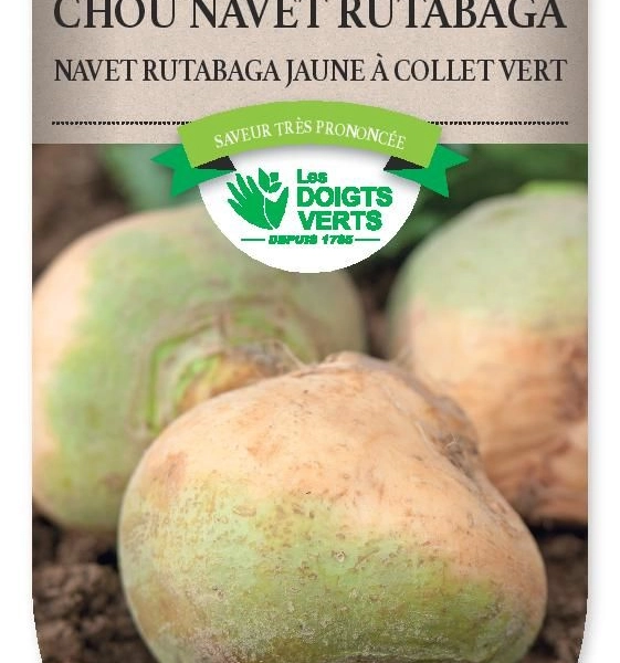 CHOU-NAVET Rutabaga a collet vert - FRAIS DE PORT OFFERT Graines potagères