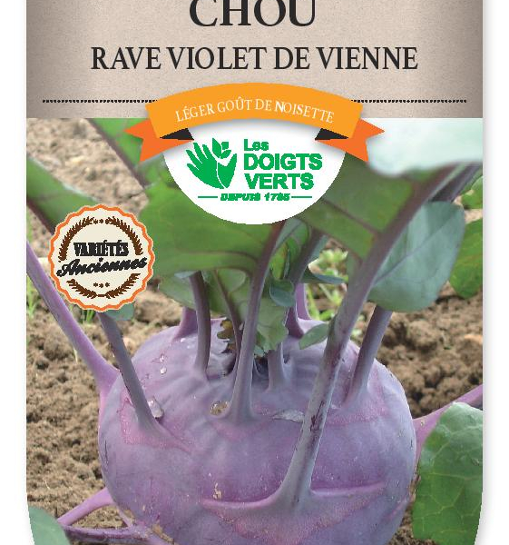 CHOU-RAVE violet de Vienne - FRAIS DE PORT OFFERT Graines potagères