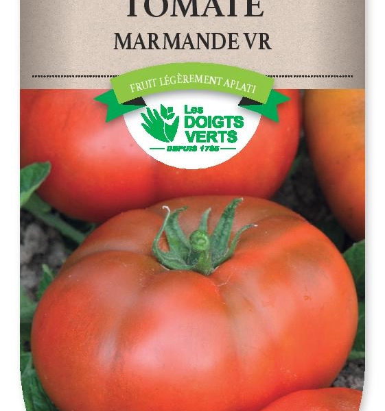 TOMATE de Marmande VR - FRAIS DE PORT OFFERT Graines potagères
