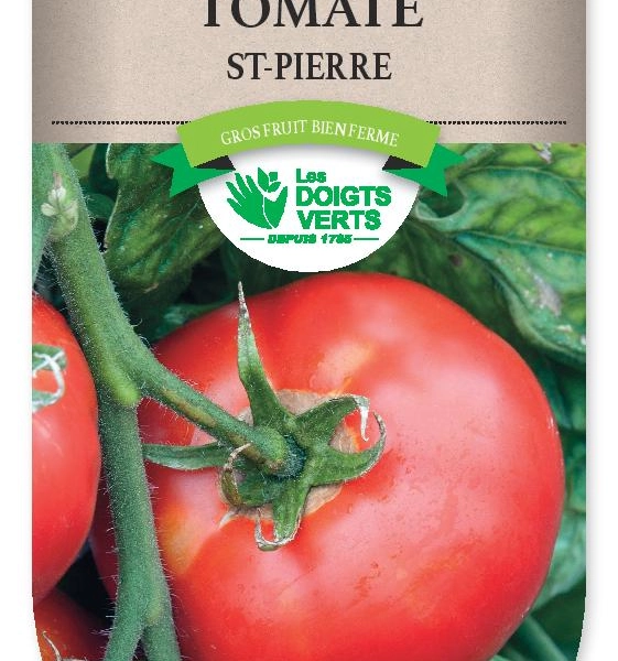 TOMATE Saint-Pierre - Graines potagères