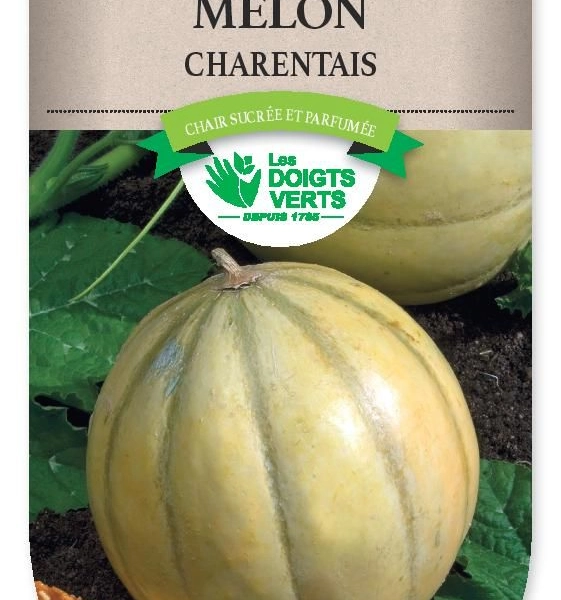 MELON Charentais - FRAIS DE PORT OFFERT Graines potagères