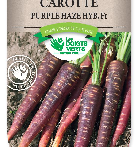 CAROTTE Purple Haze Hyb.F1 - FRAIS DE PORT OFFERT Graines potagères