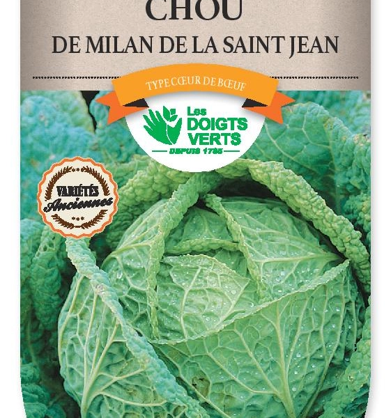 CHOU MILAN de la St Jean - FRAIS DE PORT OFFERT Graines potagères