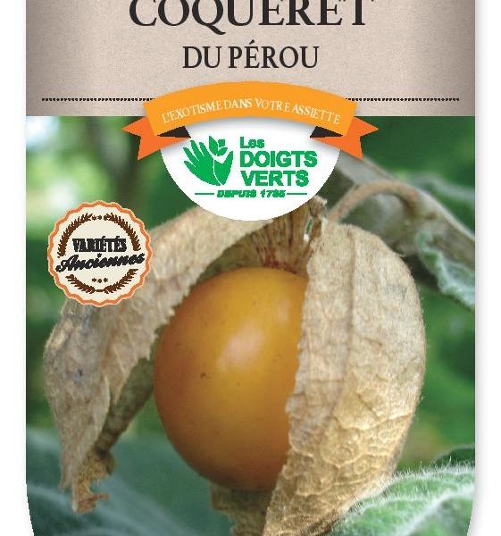 COQUERET DU PEROU Physalis - FRAIS DE PORT OFFERTGraines potagères