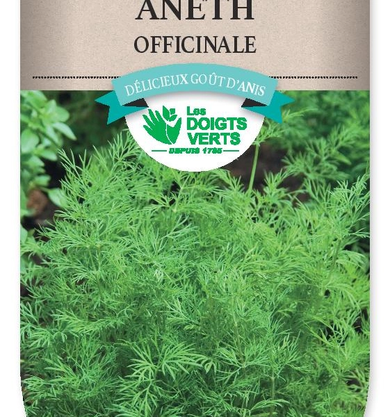 ANETH - FRAIS DE PORT OFFERT Graines potagères, plantes aromatiques