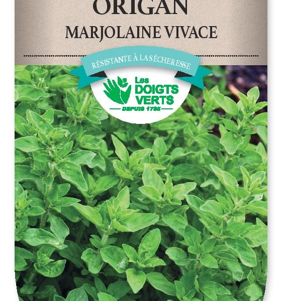 ORIGAN Marjolaine vivace - FRAIS DE PORT OFFERT Graines potagères, plantes aromatiques